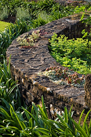 THE_OLD_RECTORY__HASELBECH__NORTHAMPTONSHIRE__STONE_WALL_WITH_SEDUMS