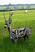 THE OLD RECTORY  HASELBECH  NORTHAMPTONSHIRE - A ROE DEER MADE OUT OF DRIFT WOOD BY HEATHER JANSCH WITH SHEEP IN THE BACKGROUND