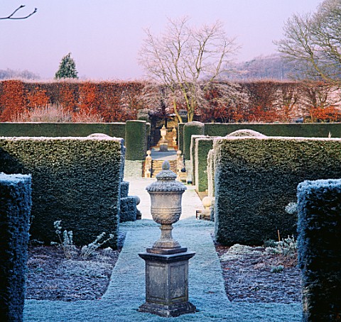 VIEW_ACROSS_THE_MAIN_LAWN_WITH_FORMAL_TOPIARY__URNS_HAZELBURY_MANOR_GARDEN__WILTSHIRE