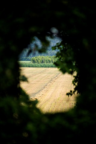 DESIGNER_DOMINIQUE_LAFOURCADE__PROVENCE__FRANCE__CLAIR_VOYEE_THROUGH_HEDGE_TO_COUNTRYSIDE_BEYOND