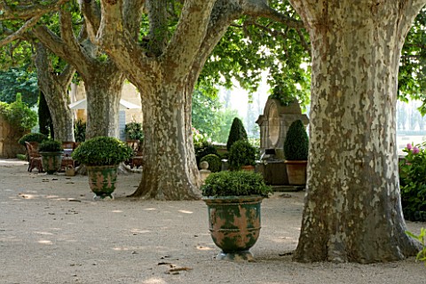 DESIGNER_DOMINIQUE_LAFOURCADE__PROVENCE__FRANCE__GRAVEL_TERRACE_WITH_GREEN_TERRACOTTA_URNS_PLANTED_W