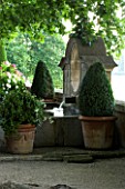 DESIGNER DOMINIQUE LAFOURCADE  PROVENCE  FRANCE - GRAVEL TERRACE WITH PLANE TREES  TERRACOTTA CONTAINERS PLANTED WITH BOX  STONE TROUGH AND WATER FEATURE