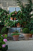 DESIGNER DOMINIQUE LAFOURCADE  PROVENCE  FRANCE - JARDINIERE WITH TERRACOTTA CONTAINERS PLANTED WITH GERANIUMS AND BOX. PATIO  TERRACE  GRAVEL