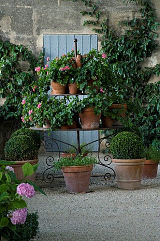 DESIGNER_DOMINIQUE_LAFOURCADE__PROVENCE__FRANCE__JARDINIERE_WITH_TERRACOTTA_CONTAINERS_PLANTED_WITH_