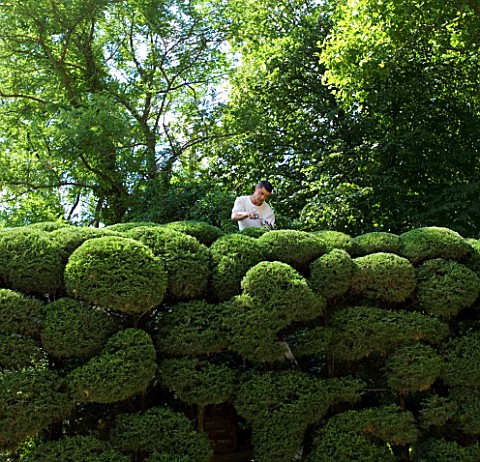 PROVENCE__FRANCE_MARCO_NUCERA_TRIMMING_A_HUGE_HEDGE___PRIVATE_GARDEN__PROVENCE