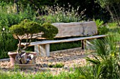PROVENCE  FRANCE. GARDEN OF MARCO NUCERA. GRAVEL GARDEN WITH BEAUTIFUL WOODEN BENCH AND TERRACOTTA CONTAINER WITH CLIPPED TREE