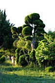 PROVENCE  FRANCE. GARDEN OF MARCO NUCERA. CLIPPED TREES BESIDE WOODEN SCULPTURE