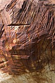 PROVENCE  FRANCE. GARDEN OF MARCO NUCERA.  DETAIL OF WOODEN SCULPTURE BY MARCO NUCERA