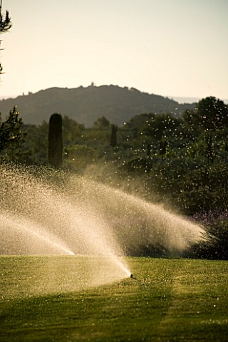 LAVENDER_BESIDE_A_LAWN_BEING_SPRAYED_WITH_WATER_FROM_A_POP_UP_SPRAYER_ENVIRONMENT__GLOBAL_WARMING