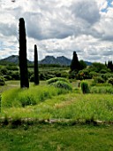DESIGNER ALAIN DAVID IDOUX - MAS BENOIT  PROVENCE  FRANCE. VIEW TO MOUNTAINS WITH GRASSES AND CLIPPED CYPRESS TREES IN THE FOREGROUND
