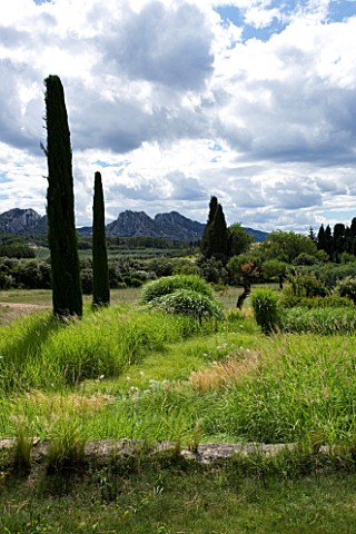 DESIGNER_ALAIN_DAVID_IDOUX__MAS_BENOIT__PROVENCE__FRANCE_VIEW_TO_MOUNTAINS_WITH_GRASSES_AND_CLIPPED_