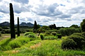 DESIGNER ALAIN DAVID IDOUX - MAS BENOIT  PROVENCE  FRANCE. VIEW TO MOUNTAINS WITH GRASSES AND CLIPPED CYPRESS TREES IN THE FOREGROUND. EVENING LIGHT