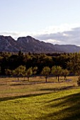 DESIGNER ALAIN DAVID IDOUX - MAS BENOIT  PROVENCE  FRANCE. VIEW OF SPIRAL OF FIELD STONES AND ALMOND TREES IN THE MEADOW WITH MOUNTAINS BEHIND