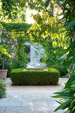 DESIGNER_MICHEL_SEMINI__PROVENCE__FRANCE_VIEW_OF_COURTYARD_WITH_WELL_SURROUNDED_BY_BOX_HEDGING