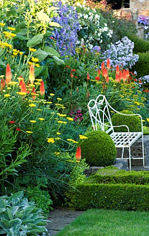 THE_OLD_RECTORY__HASELBECH__NORTHANTS_WHITE_METAL_CHAIR_SURROUNDED_BY_BOX__ACHILLEA_AND_KNIPHOFIAS