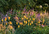 PETTIFERS  OXFORDSHIRE: KLIMT BORDER WITH KNIPHOFIA  VERONICASTRUM AND ECHINACEAS