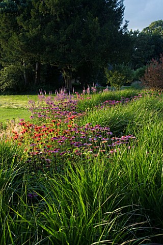THE_OLD_RECTORY__MIXBURY__NORTHANTS_DESIGNER_ANGEL_COLLINS_LATE_PERENNIAL_BORDER_WITH_ECHINACEAS__MO