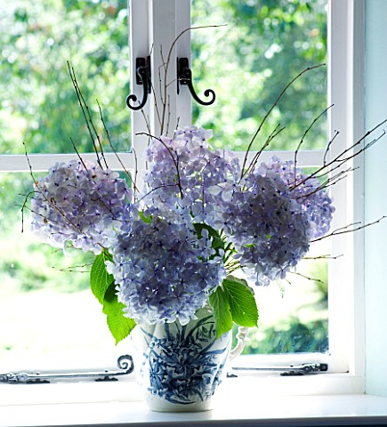 CLARE_MATTHEWS_HOUSE__DEVON_BEDROOM_WINDOW_WITH_FLORAL_DISPLAY_OF_BLUE_HYDRANGEAS_IN_BLUE_AND_WHITE_