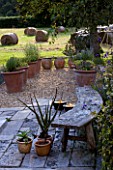 DESIGNER CLARE MATTHEWS: DEVON GARDEN. OUTDOOR SEATING AREA WITH CURVED WOODEN BENCH AND GRAVEL AREA WITH TERRACOTTA CONTAINERS