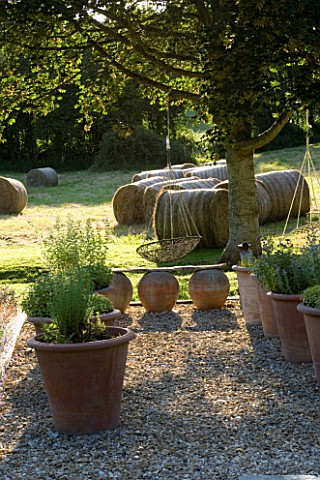 CLARE_MATTHEWS_GARDEN__DEVON_GRAVEL_AREA_WITH_HERBS_IN_LARGE_TERRACOTTA_POTS_CONTAINERS__AND_HANGING