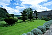 THROUGHAM COURT  GLOUCESTERSHIRE. DESIGNER: CHRISTINE FACER: THE LAWN WITH TOPIARY SHAPES IN YEW