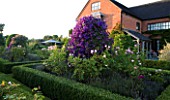 WILKINS PLECK  STAFFORDSHIRE: THE LAWN WITH FORMAL ROSE BEDS AND CLEMATIS JACKMANII AND CLEMATIS ETOILE VIOLETTE. HOUSE IN THE BACKGROUND