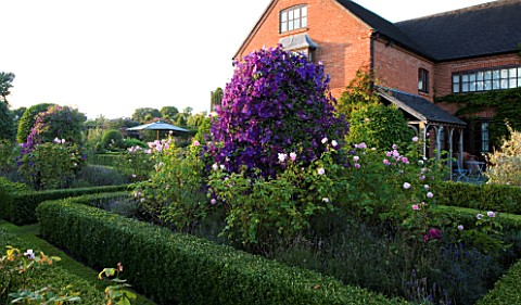 WILKINS_PLECK__STAFFORDSHIRE_THE_LAWN_WITH_FORMAL_ROSE_BEDS_AND_CLEMATIS_JACKMANII_AND_CLEMATIS_ETOI