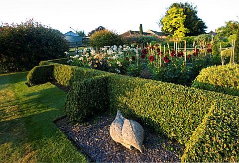 PETTIFERS_GARDEN__OXFORDSHIRE_THE_PARTERRE_IN_AUTUMN_PLANTED_WITH_DAHLIAS_IN_FOREGROUND_IS_SCULPTURE