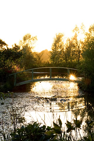 WILKINS_PLECK__STAFFORDSHIRE_THE_LAKE_AND_MONET_STYLE_BLUE_BRIDGE_AT_SUNSET