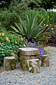 HUNTING BROOK  CO WICKLOW  REPUBLIC OF IRELAND: DESIGNER JIMI BLAKE - A PLACE TO SIT- GRAVEL AREA WITH WOODEN SEATS AND TABLE AND CORDYLINE INDIVISA  DAHLIA TEQUILA SUNRISE