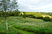 THROUGHAM COURT  GLOUCESTERSHIRE. DESIGNER: CHRISTINE FACER: FIBONACCIS WALK THROUGH THE WILD GRASS MEADOW WITH BIRCH TREES WITH BANNERS BY SHONA WATT