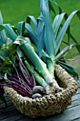 DESIGNER CLARE MATTHEWS: VEGETABLE GARDEN  DEVON: LEEKS PANCHO AND BEETROOT IN A TRUG ON A WOODEN TABLE