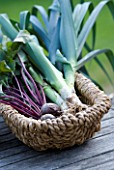 DESIGNER: CLARE MATTHEWS - VEGETABLE GARDEN PROJECT: LEEKS PANCHO AND BEETROOT BOLTHARDY IN A WICKER BASKET ON A WOODEN TABLE