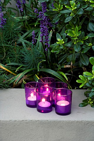 DESIGNER__CHARLOTTE_ROWE__LONDON_CHARLOTTE_ROWES_OWN_GARDEN_AT_NIGHT___TEA_LIGHTS_CANDLES_INSIDE_PUR