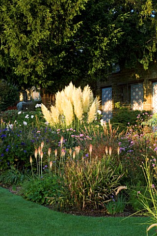 PETTIFERS_GARDEN__OXFORDSHIRE_AUTUMN_BORDER_WITH_PAMPAS_GRASS_AND_KNIPHOFIAS