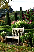 PETTIFERS GARDEN  OXFORDSHIRE: A PLACE TO SIT: WOODEN BENCH BESIDE BOX EDGED DAHLIA BEDS IN EARLY AUTUMN