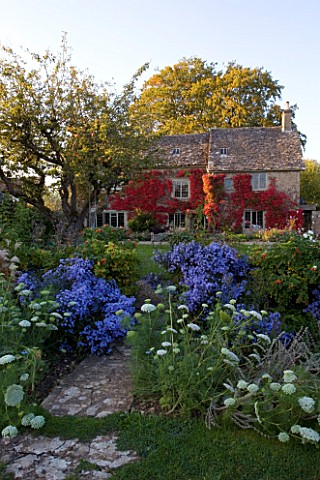 THE_GRAY_HOUSE__OXFORDSHIRE__DESIGNED_BY_TIM_REES_BACK_OF_THE_GRAY_HOUSE_IN_AUTUMN_WITH_BOSTON_IVY__