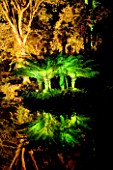 ABBOTSBURY SUBTROPICAL GARDEN  DORSET: GREEN & YELLOW LIGHTING AT NIGHT