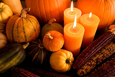 HALLOWEEN_STILL_LIFE_AT_NIGHT_WITH_ORANGE_CANDLES__PUMPKINS__SQUASHES__ZEA_MAYS_MAIZE