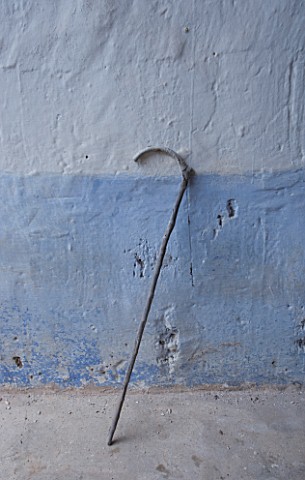 SUITEDO_A_WALKING_STICK_AGAINST_A_BLUE_WALL_IN_MALLORCA__SPAIN
