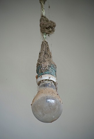 SUITEDO_DETAIL_OF_OLD_LIGHT_BULB_COVERED_IN_DUST_AND_GRIME