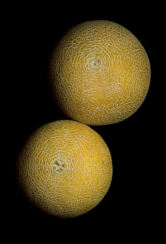 TWO_MELONS_WITH_BLACK_BACKGROUND