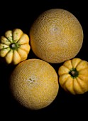 TWO SQUASHES AND TWO MELONS AGAINST A BLACK BACKGROUND