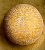 CLOSE UP OF MELON AGAINST A GOLD BACKGROUND