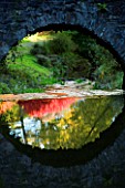 CASTLE HILL  DEVON: AUTUMN COLOURS OF MAPLES AND THE UGLY BRIDGE REFLECTED IN A STREAM