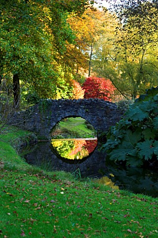 CASTLE_HILL__DEVON_AUTUMN_COLOURS_OF_MAPLES_AND_THE_UGLY_BRIDGE_REFLECTED_IN_A_STREAM