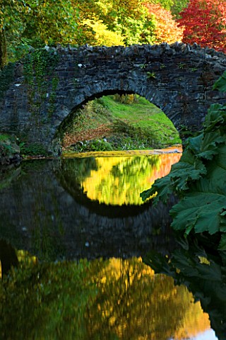CASTLE_HILL__DEVON_AUTUMN_COLOURS_OF_MAPLES_AND_THE_UGLY_BRIDGE_REFLECTED_IN_A_STREAM