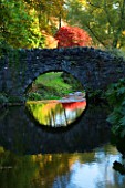 CASTLE HILL  DEVON: AUTUMN COLOURS OF MAPLES AND THE UGLY BRIDGE REFLECTED IN A STREAM