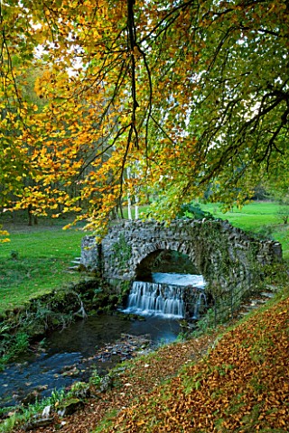 CASTLE_HILL__DEVON_AUTUMN_COLOUR_FROM_A_BEECH_TREE_WITH_A_STREAM_AND_THE_UGLY_BRIDGE