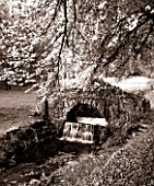 CASTLE HILL  DEVON: BLACK AND WHITE TONED IMAGE OF BEECH TREE OVERHANGING STREAM AND THE UGLY BRIDGE